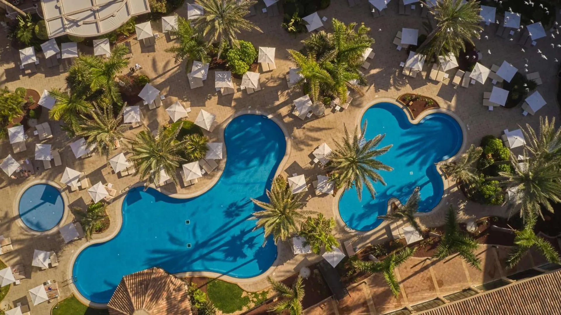 ***** Hotel Secrets Bahia Real Resort & Spa Adults Only Corralejo Spanien